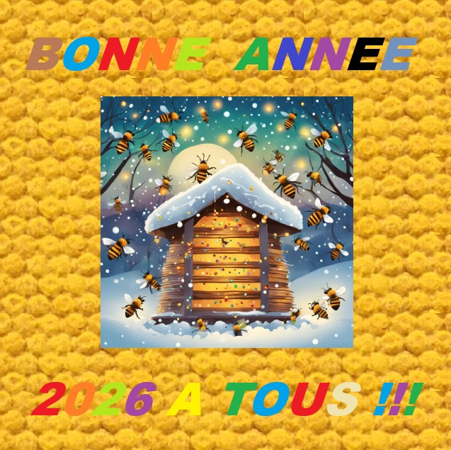 Voeux2026ter